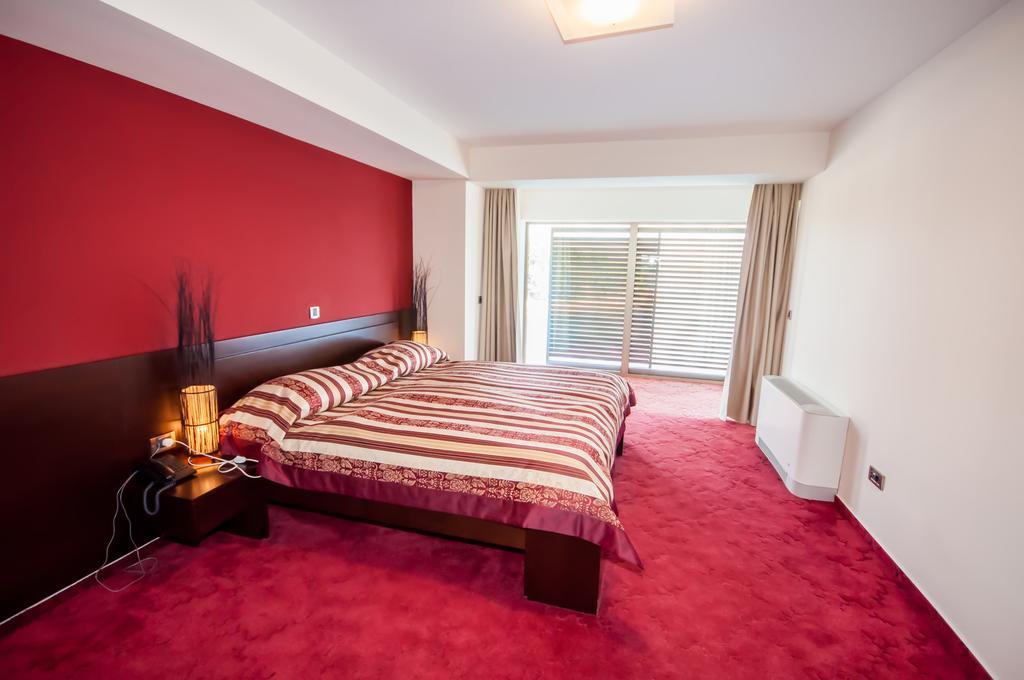 Hotel Maxim Bozava Bilik gambar
